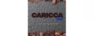 logo caricca