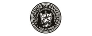 logo fedaupro